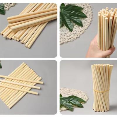 Lollipop  Bamboo skewers